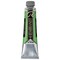 Rembrandt Artists' Oil Color - Permanent Green Medium, 40 ml tube